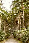 Furnas