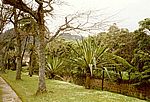 Furnas