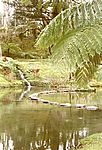 Furnas