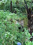 Furnas