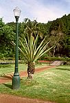 Furnas