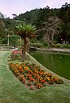 Furnas