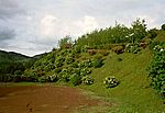Furnas