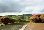 Furnas
