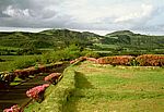 Furnas