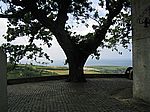Sao Miguel - Osten
