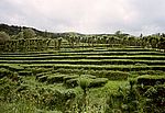 Sao Miguel - Osten