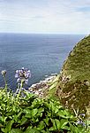 Sao Miguel - Osten
