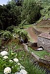 Sao Miguel - Osten