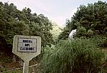 Sao Miguel - Osten