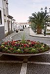 Nordeste