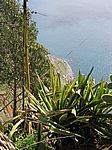 Cabo Girao