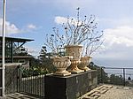 Funchal - Monte