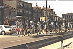 Die portugiesische Kavallerie