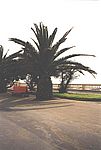 Strandpromenade